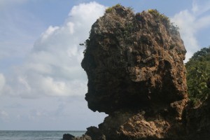 cabeza-morgan-sueskun